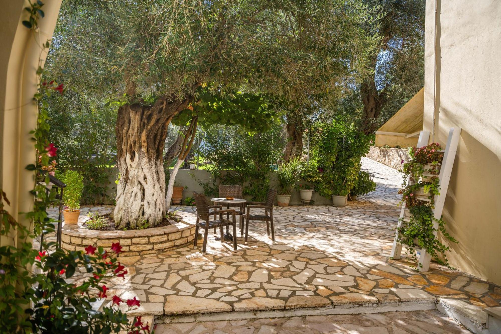 Angela Studios Sivota  Exterior photo